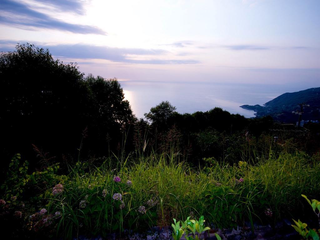 Villa Aglaini เอยอส ดิมิตริออส ภายนอก รูปภาพ